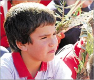 foto Colegio San Ignacio El Bosque