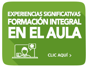 aca-zona6